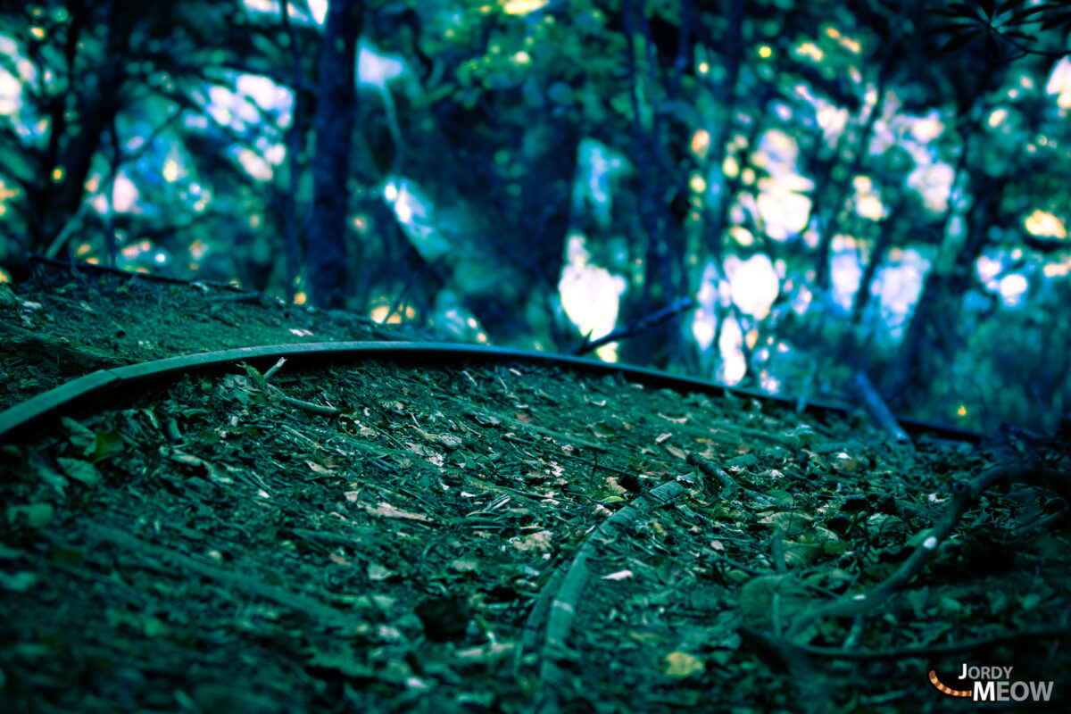 Nishizawa Abandoned Rails