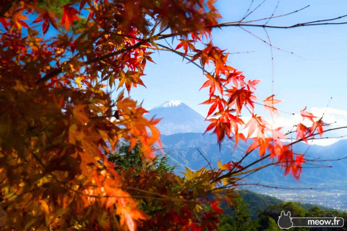 Mount Fuji