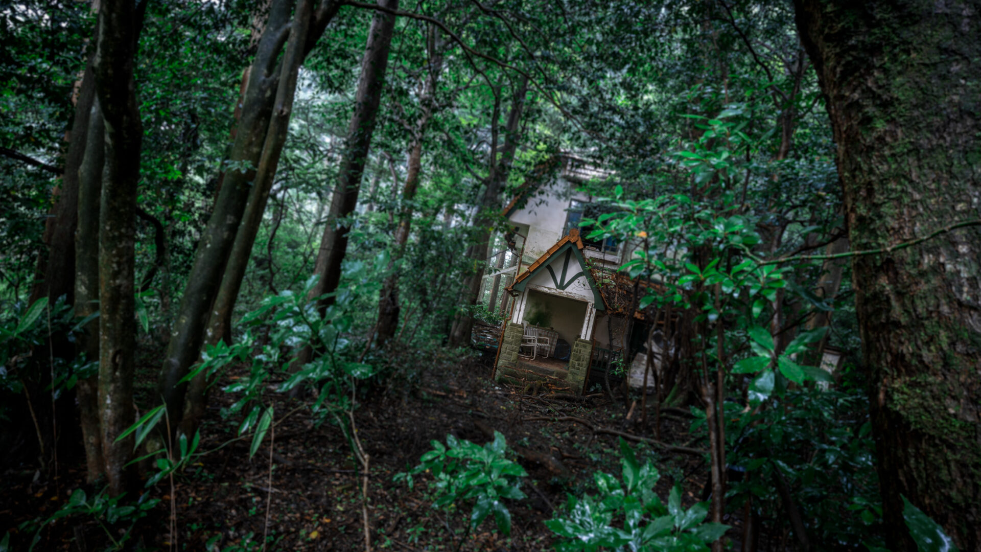 Exploring the Abandoned Royal House in Kanto, Japan - A Hauntingly Beautiful Scene.