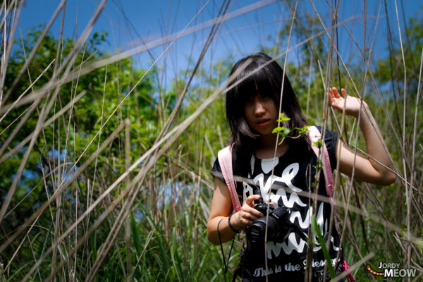 Woman walking in serene Aokigahara Forest, Japan, surrounded by lush greenery and towering trees.