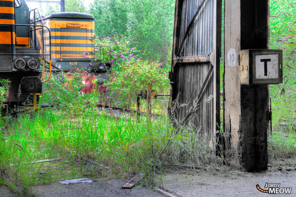 Urbex - SNCB Graveyard