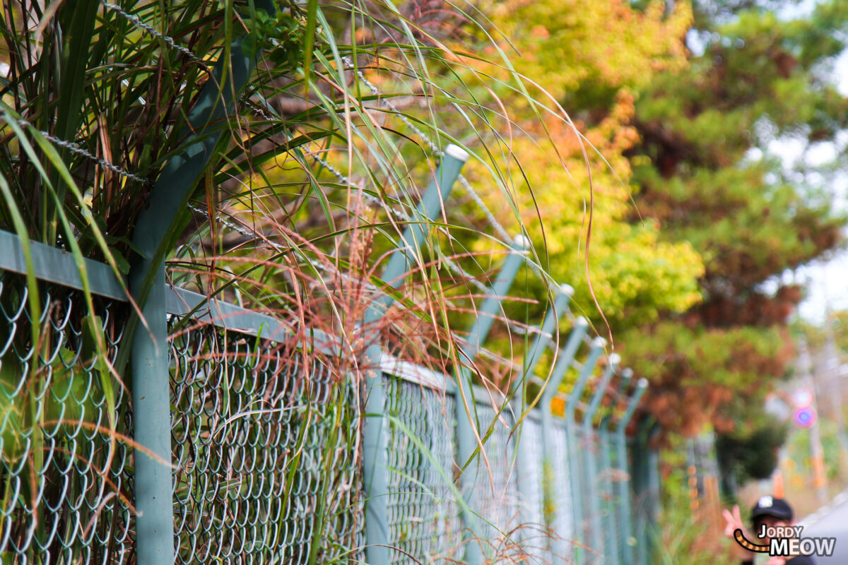 Nara Dreamland - Fence