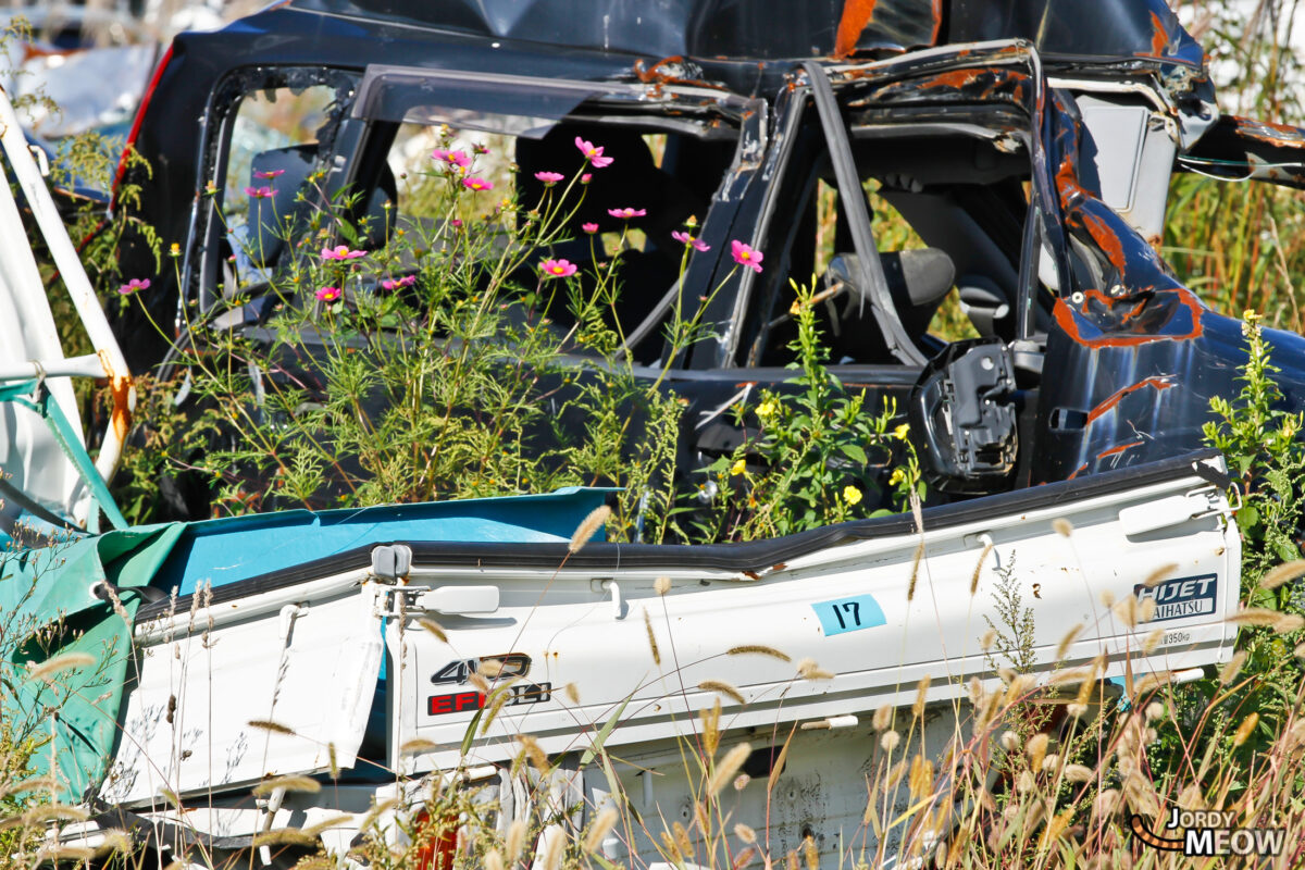 Tōhoku Tsunami - Flowers in the Trunk