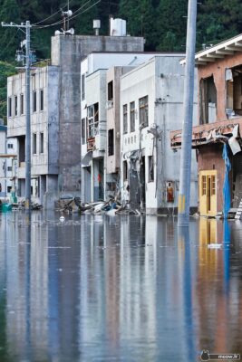 Tōhoku Tsunami - Liquefaction