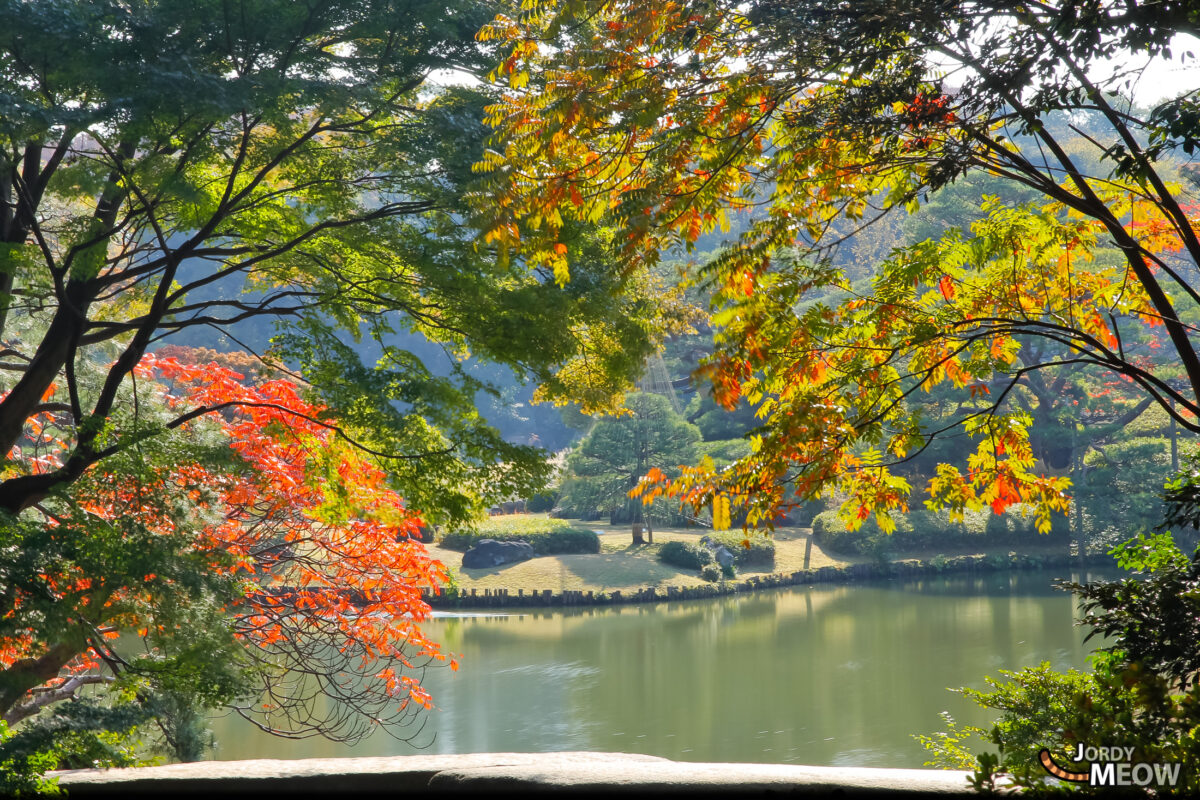 Autumn Leaves - Rikugien Frame