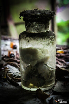 Abandoned Hospitals - Organ In A Jar