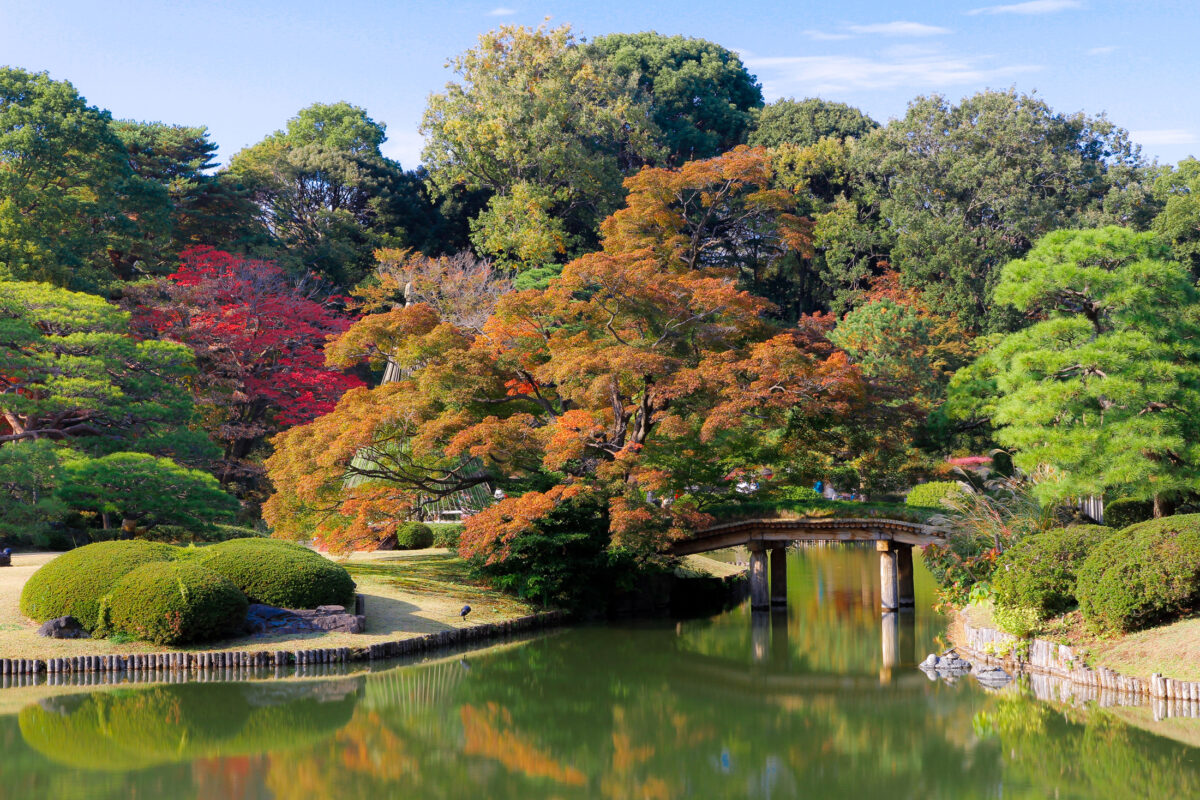 Autumn Leaves - Rikugien Bridge