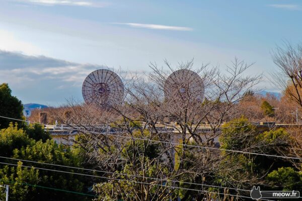 Satellites in Front at Fuchu Air Base