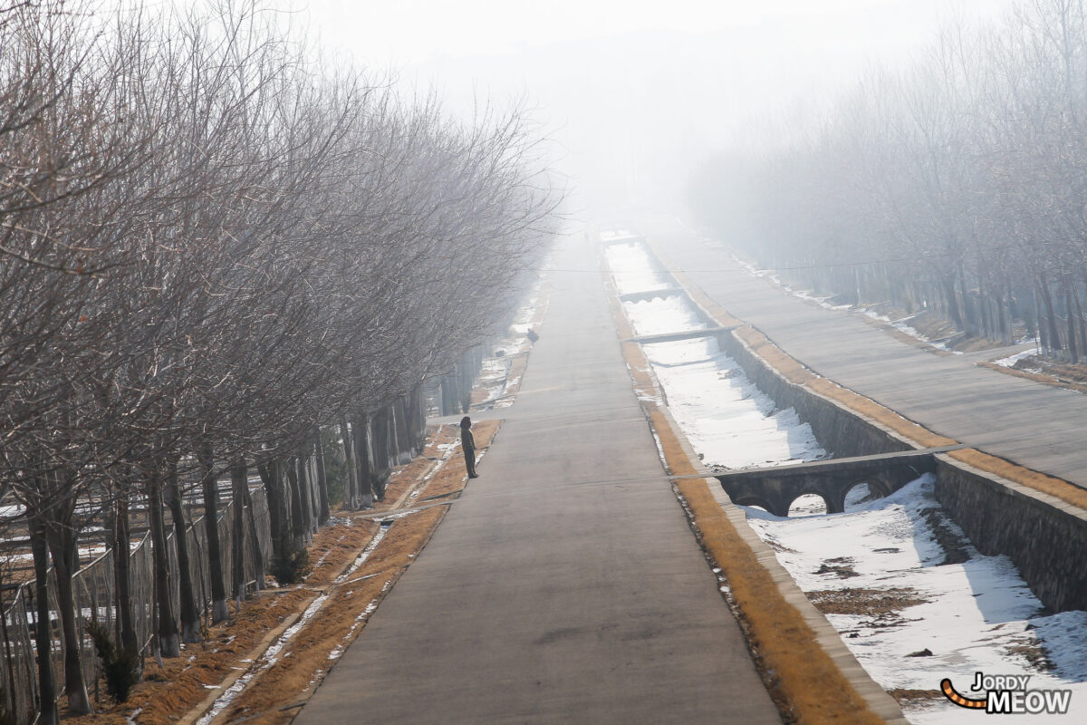 Ostriches Road, Pyongyang.