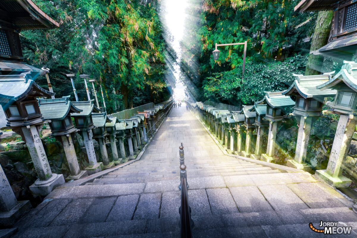 End of a wonderful day - Nara Temple