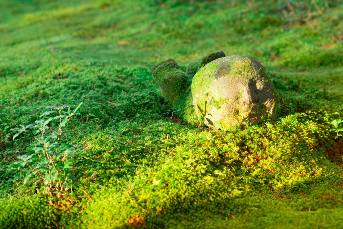 Jizo at Sanzenin around Kyoto