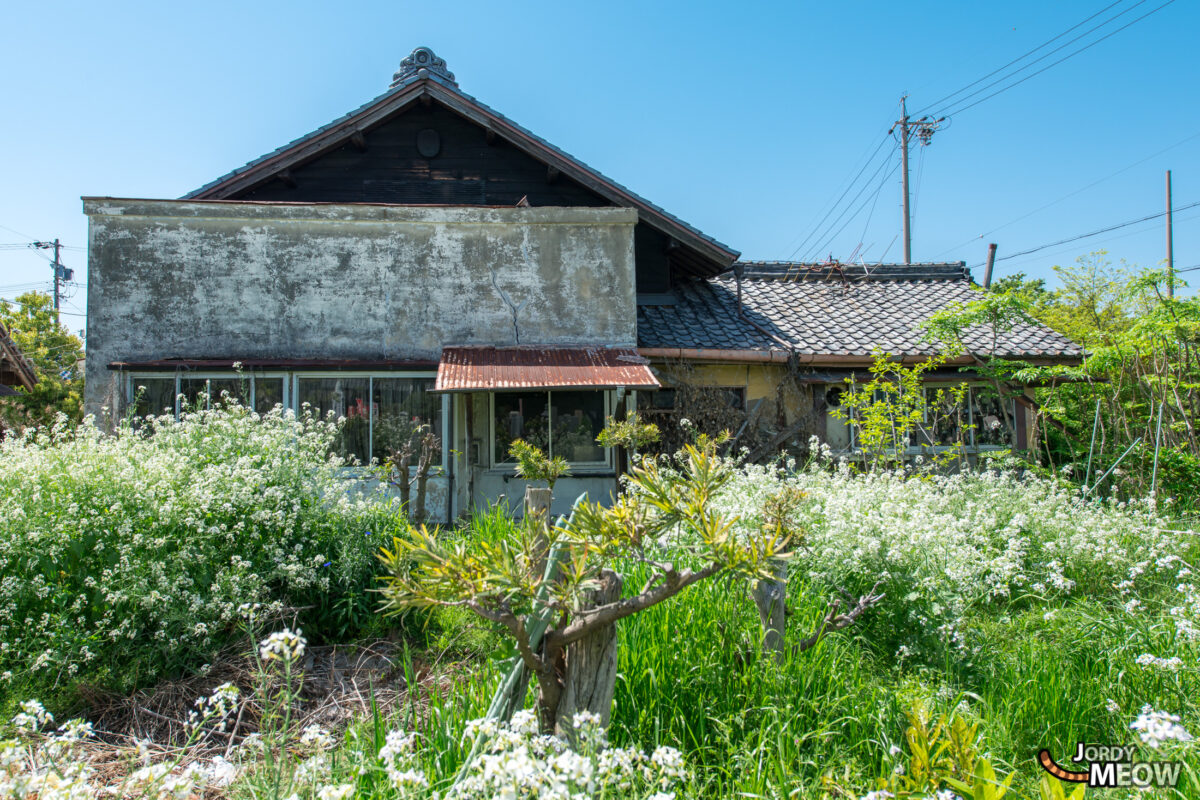 Flowers at the Sergeant Clinic