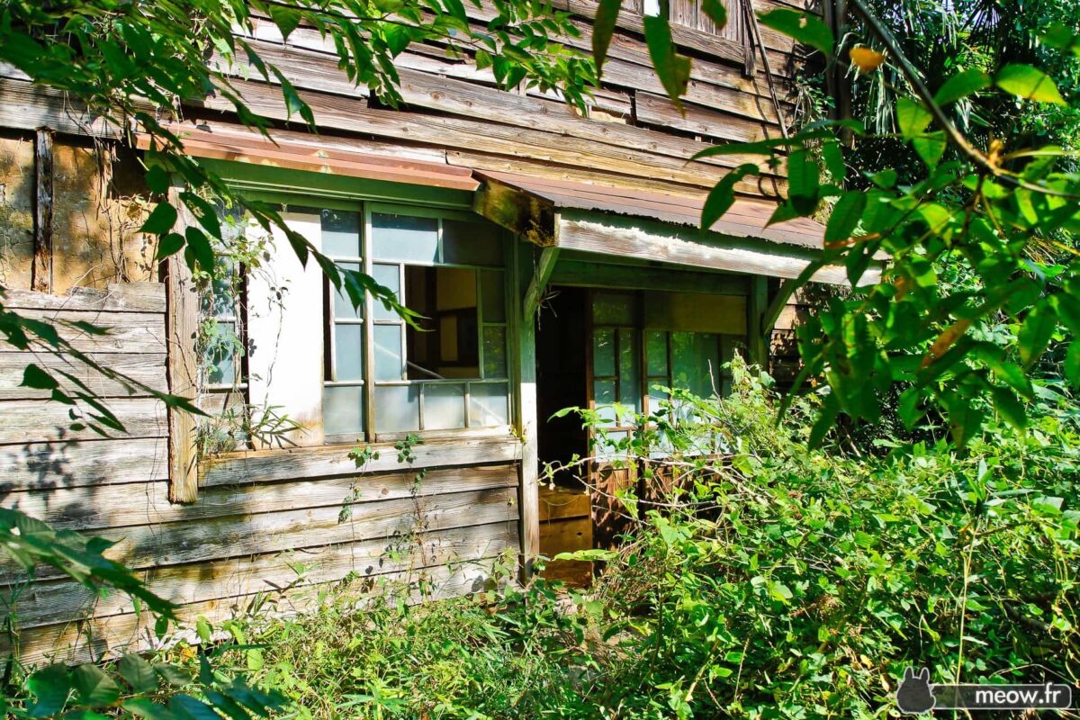 Wooden Clinic of the Doctor's Shack