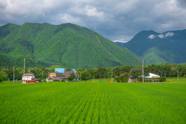 Tranquil view of Azumino, Japan: rice fields, mountains, and town blend in harmony.