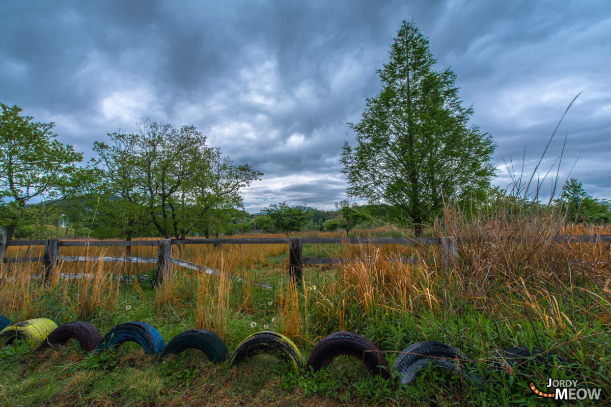 New Zealand Tires