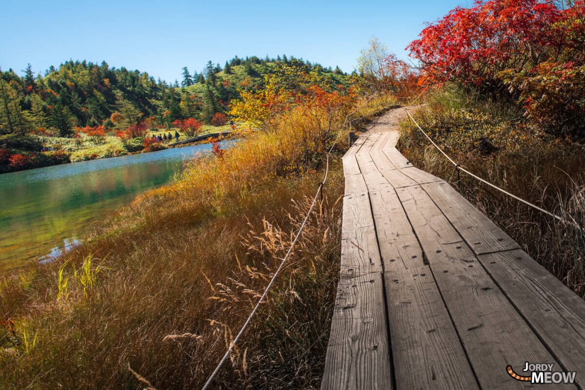 Path Around Yumiike Pond