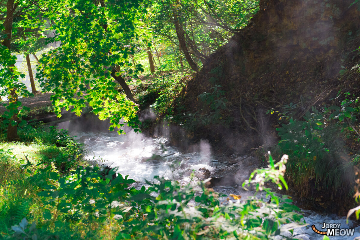 Onsen Steam-Rays