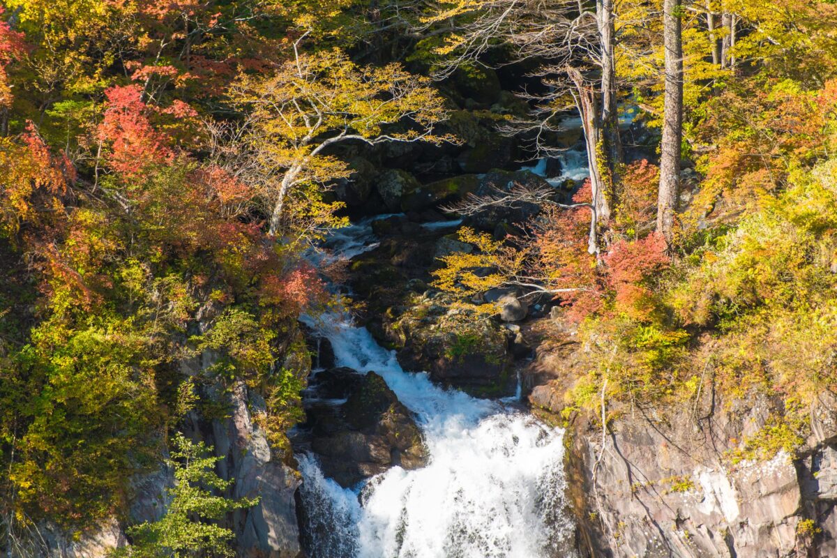 Kegon Waterfall (華厳滝)