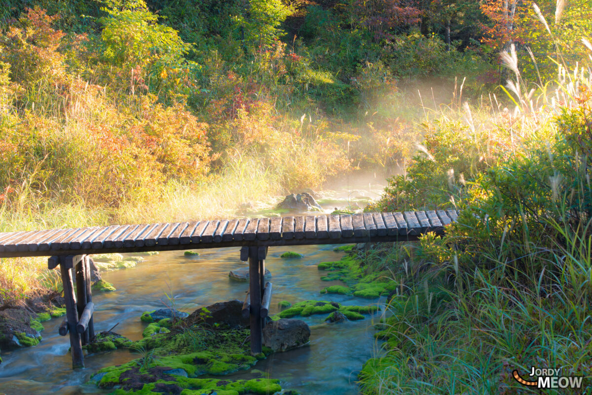 Bridge in the Steam