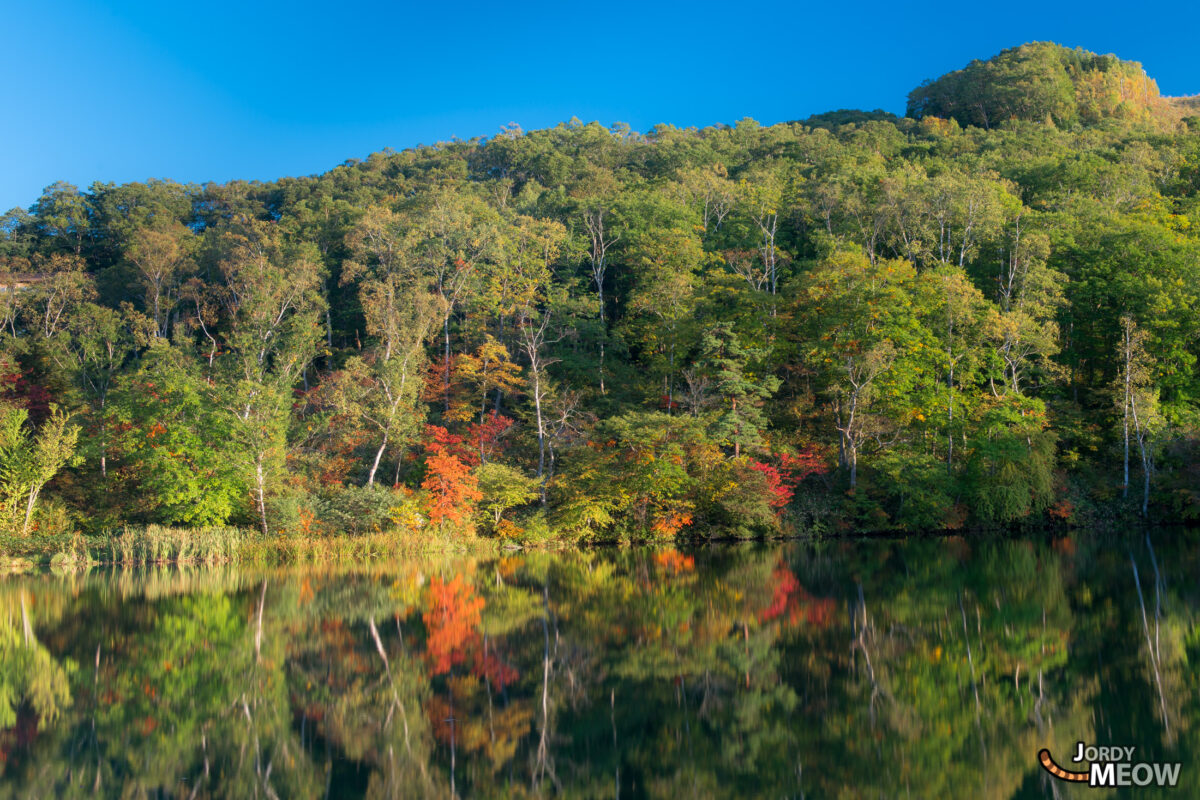 Maruike Pond