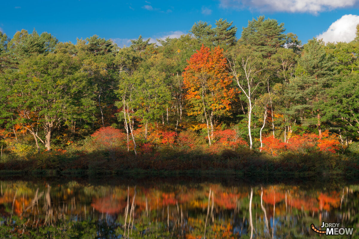 Biwaike Pond