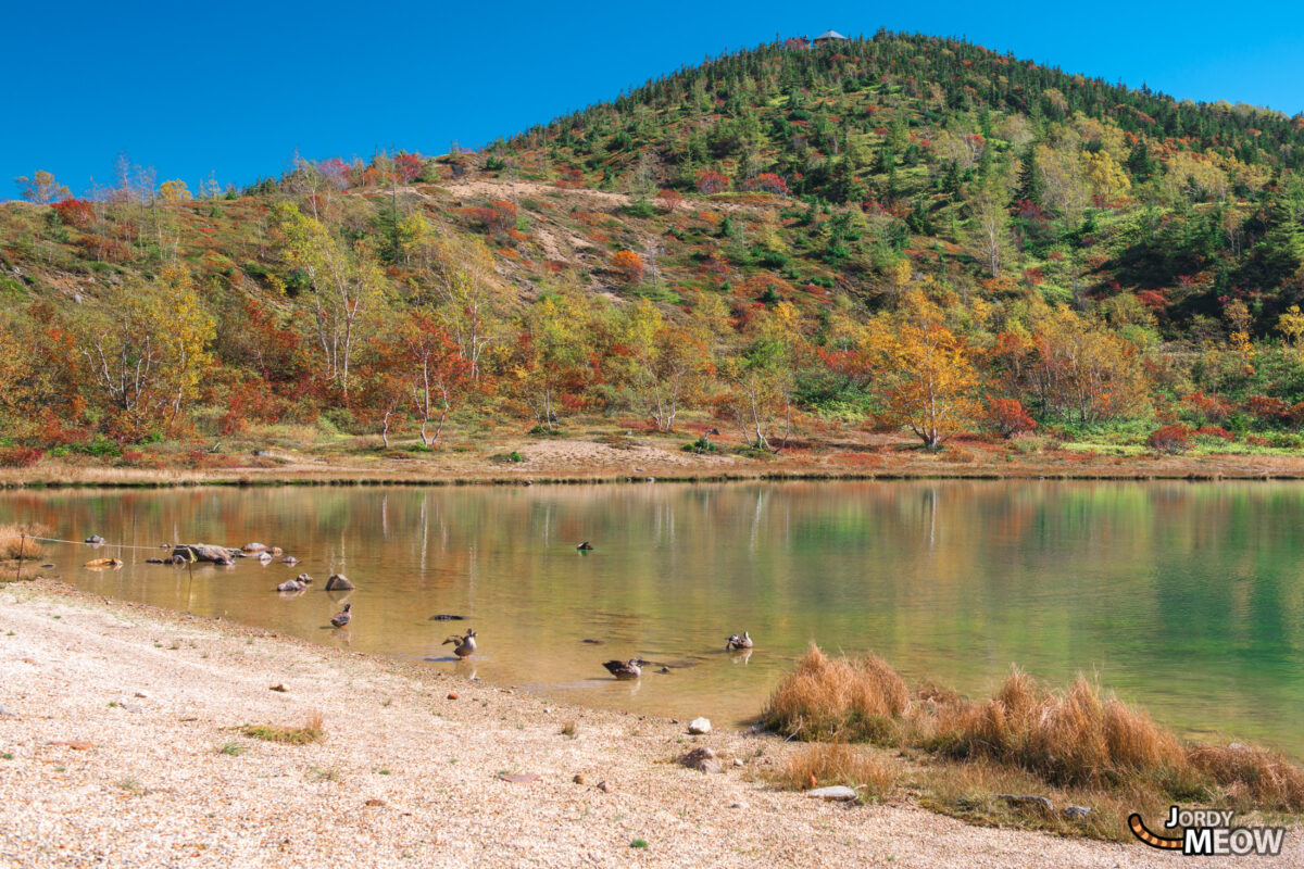 Yumiike Pond Autumn