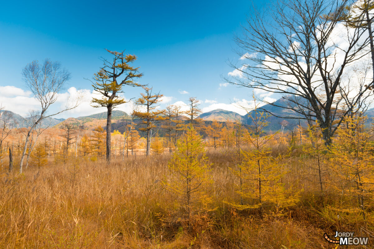 Viewpoint at Senjogahara