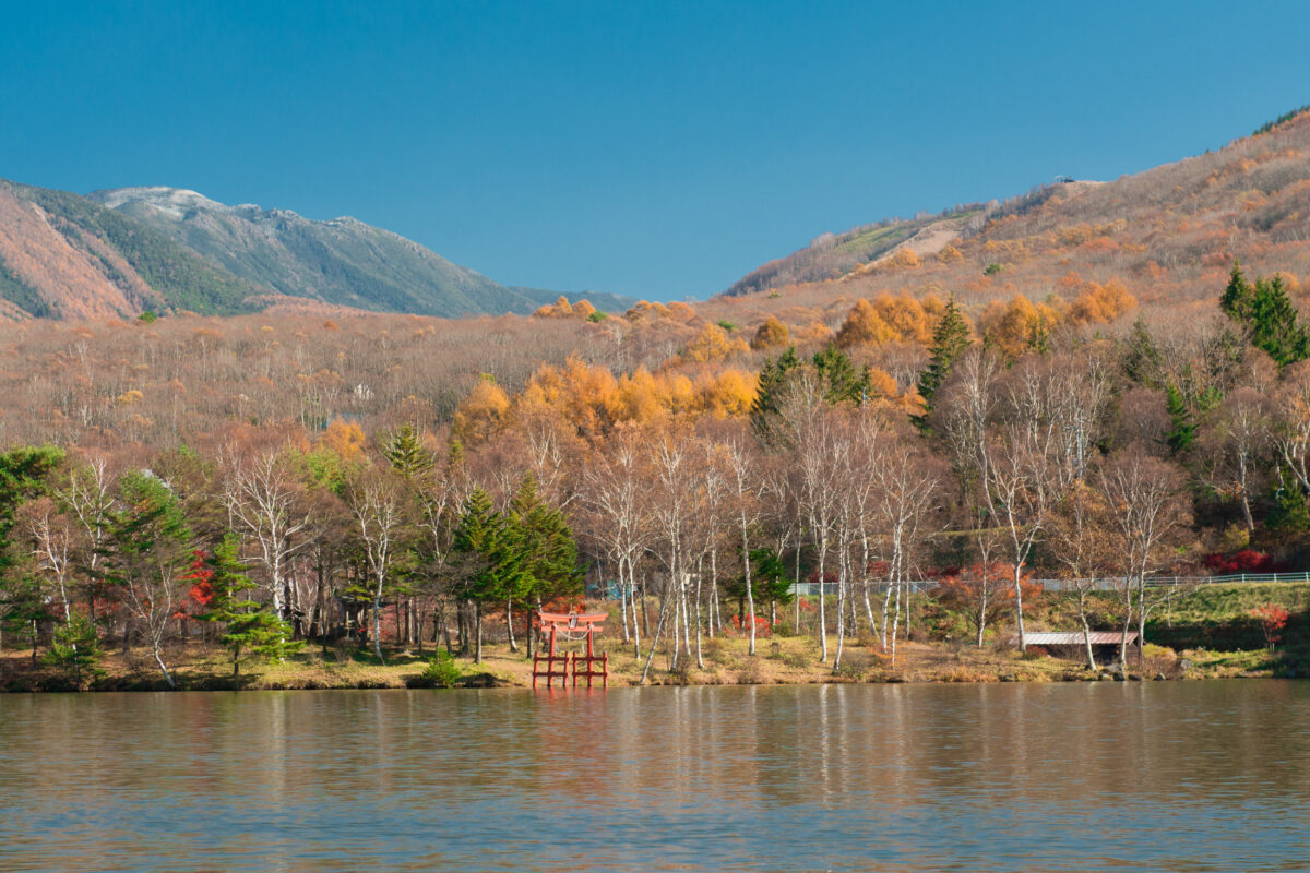 Lake Shirakaba Tori