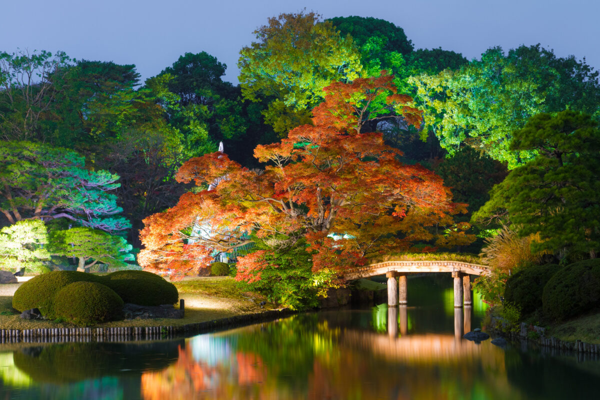 Rikugien Autumn By Night