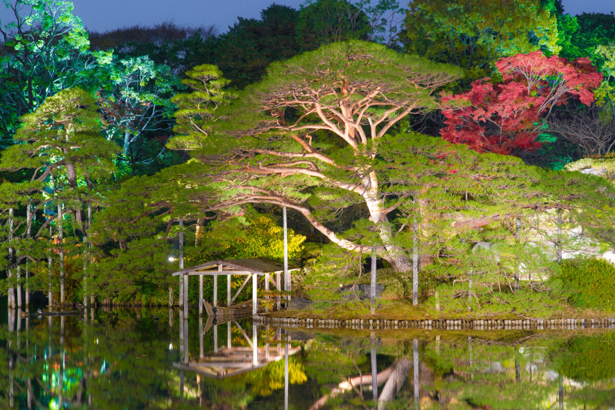 Rikugien Garden Autumn By Night