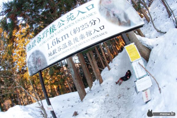 Jigokudani Entrance