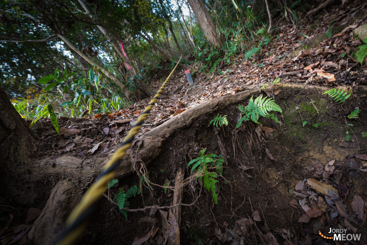 Trek to the Maya Hotel