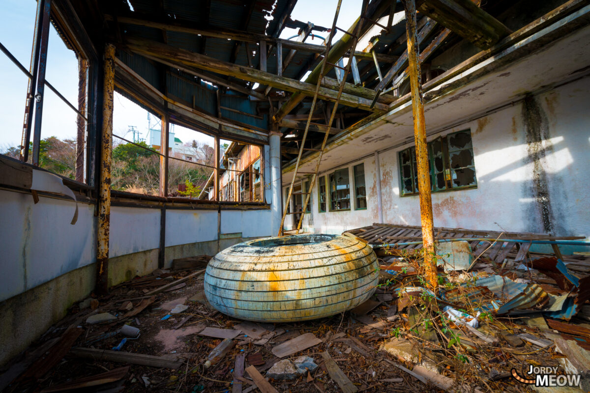 Abandoned Plane Wheel