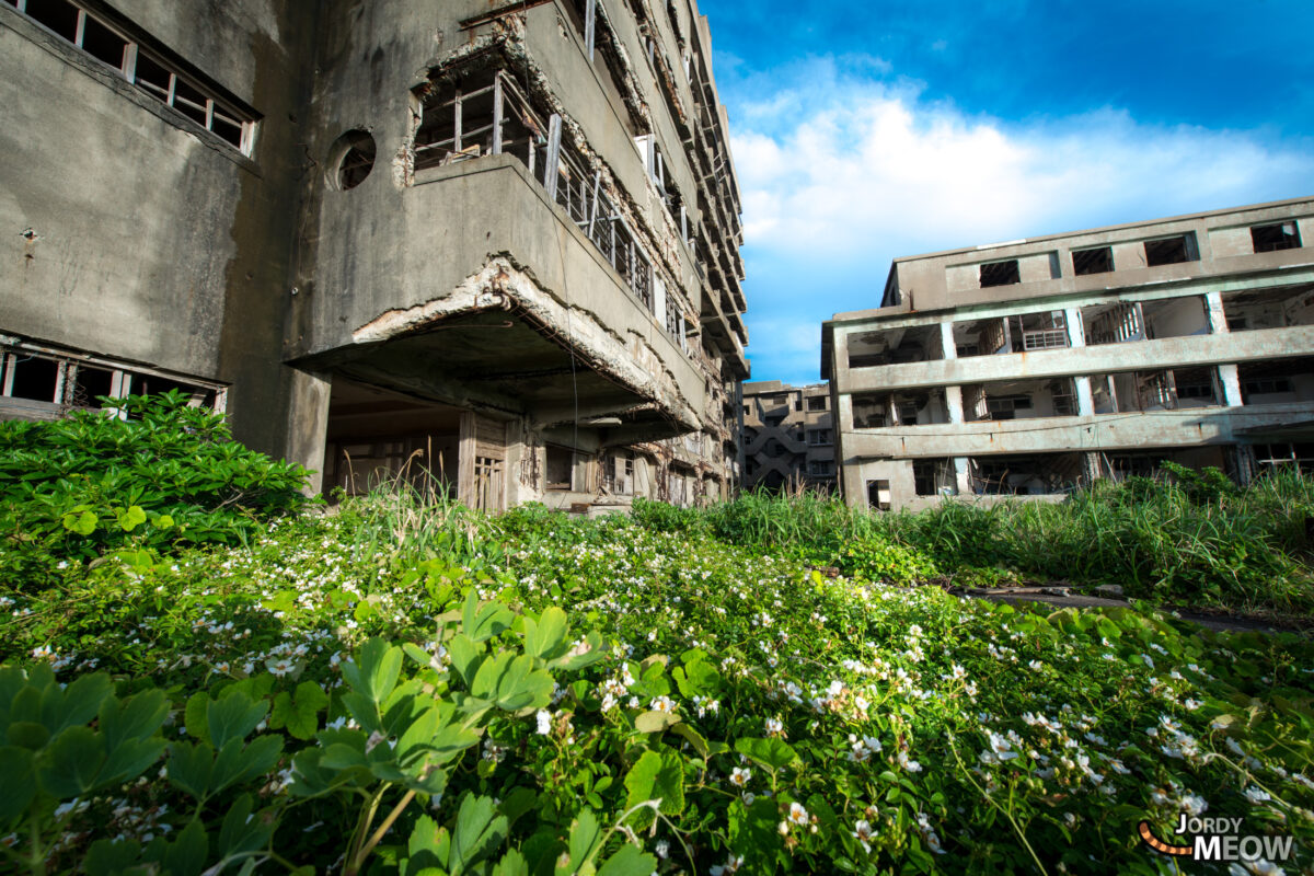 Foliage & Ruins.