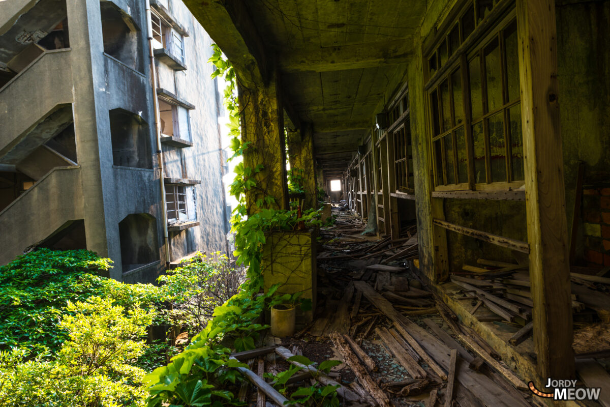 Gunkanjima: Wood & Concrete