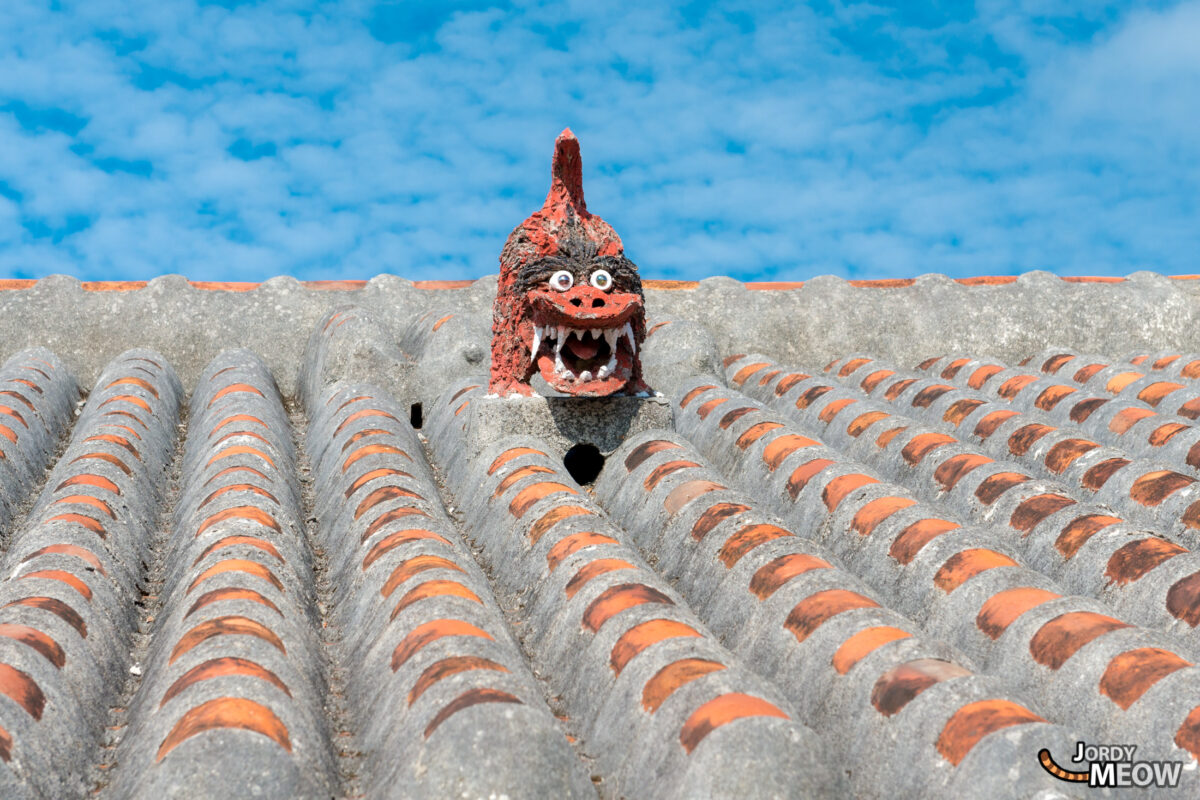 Roof Shisa 1