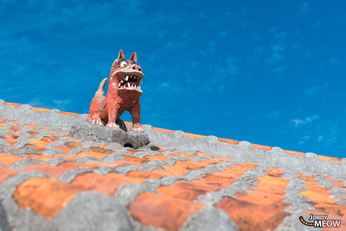 Roof Shisa 2