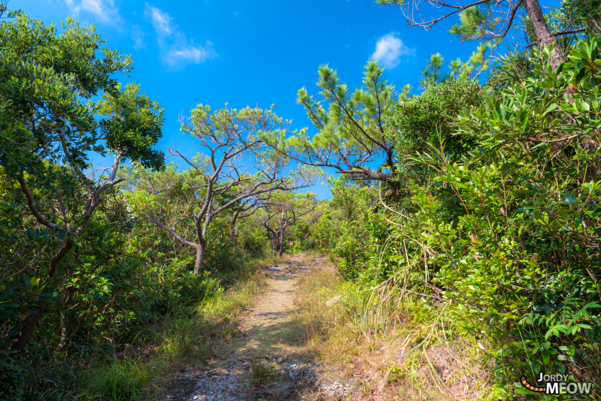 Takatsukiyama Path