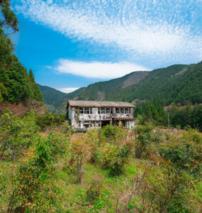 Forgotten building overtaken by nature, a serene and picturesque scene.