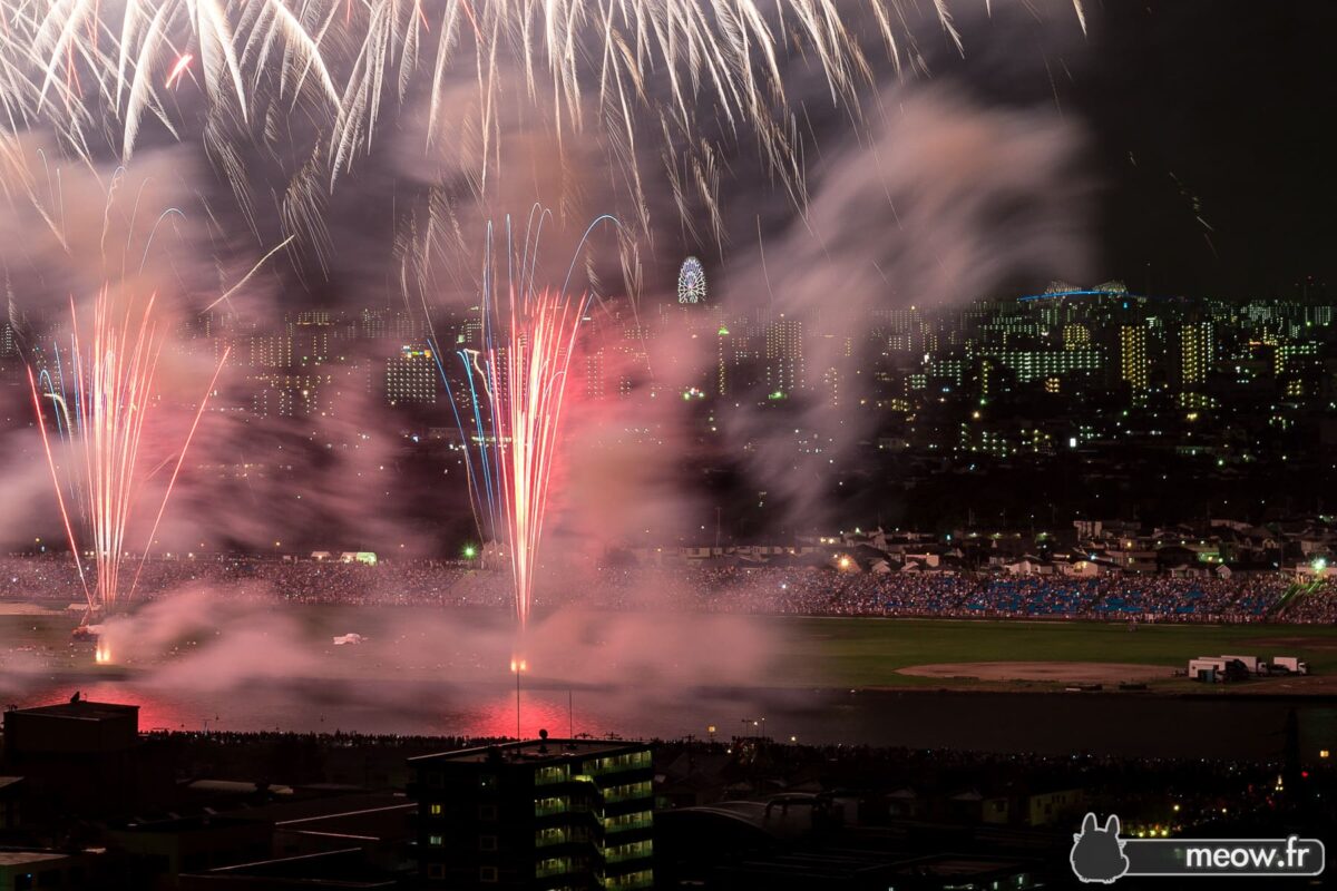 Edogawa Fireworks #24