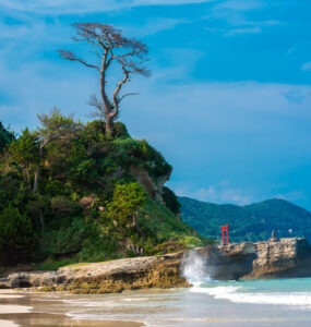 Tranquil coastal beauty with lone tree, sandy beach, turquoise waters, and red structures in Tori-Plage.