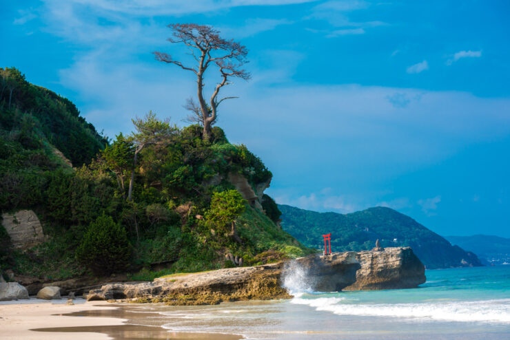 Tranquil coastal beauty with lone tree, sandy beach, turquoise waters, and red structures in Tori-Plage.