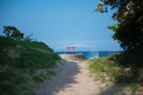 Tranquil coastal scene with vibrant red Torii gate overlooking vast ocean.