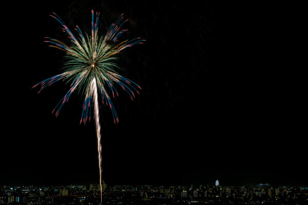 Vibrant fireworks light up city skyline over Edogawa River, creating a stunning celebration display.