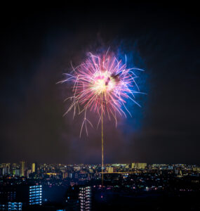 Edogawa City Fireworks Spectacular lighting up the night sky with vibrant colors.