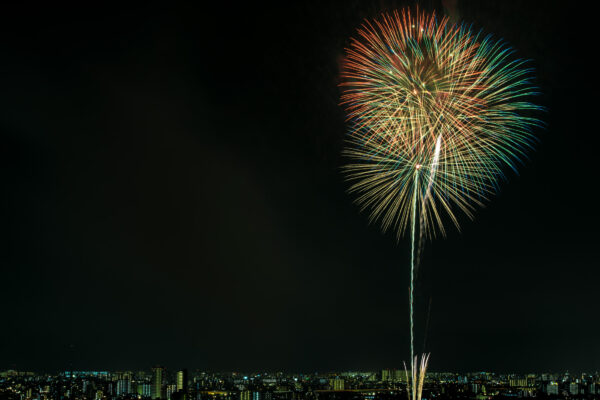 Vibrant fireworks illuminate city skyline in dazzling display against dark night sky.