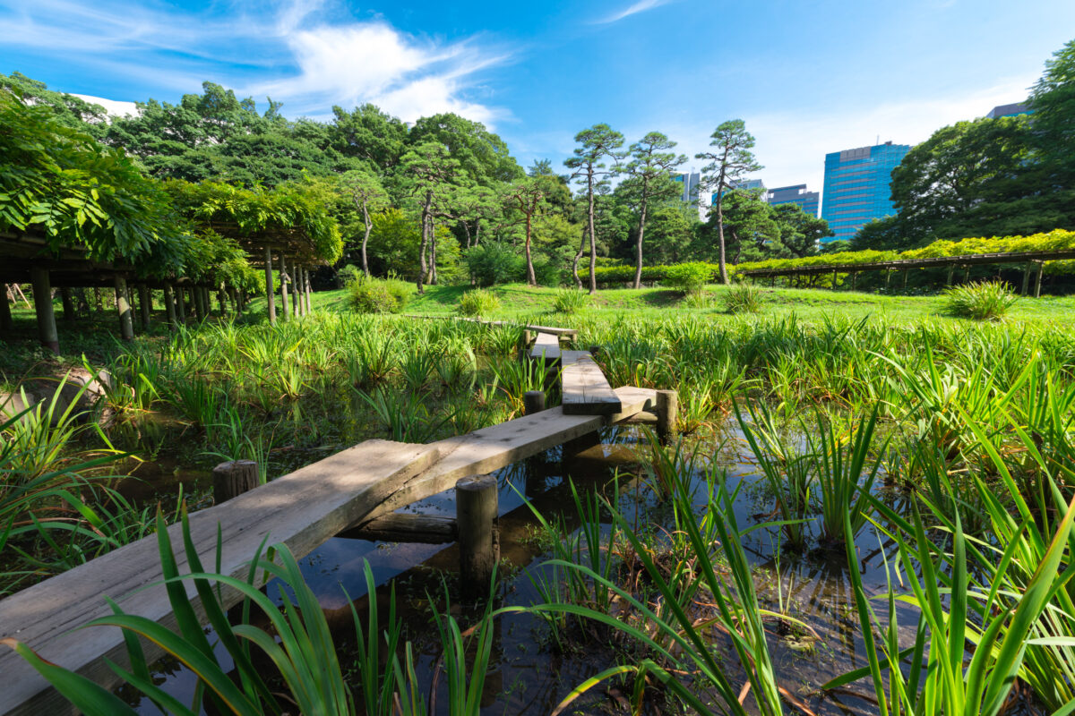 Engetsukyo Swamp