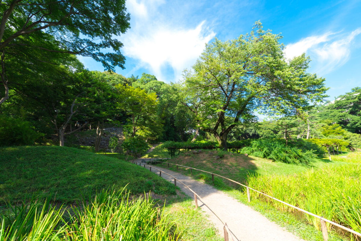 Tokyo Ricefields