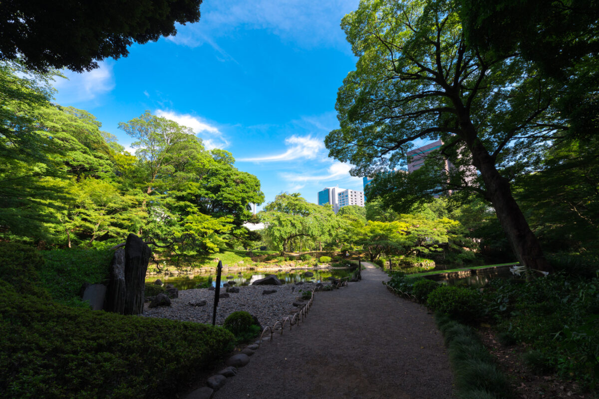 Seiko No Tsutsumi