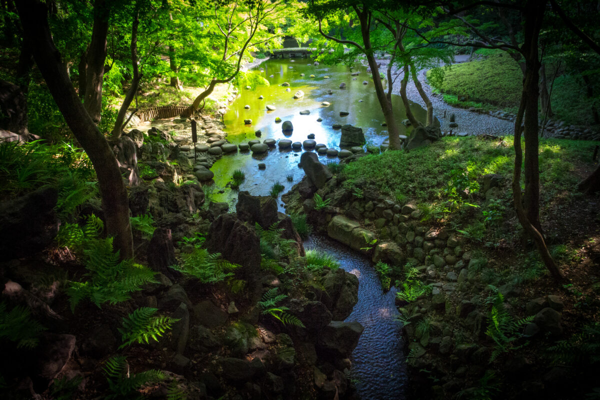 Koishikawa Korakuen Oigawa